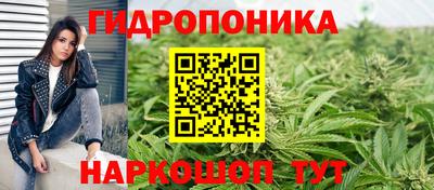 соль ск Свободный