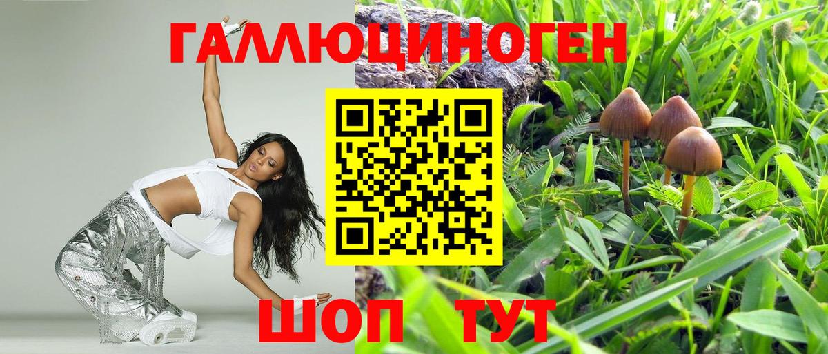 наркошоп  Советский  Псилоцибиновые грибы Psilocybe 