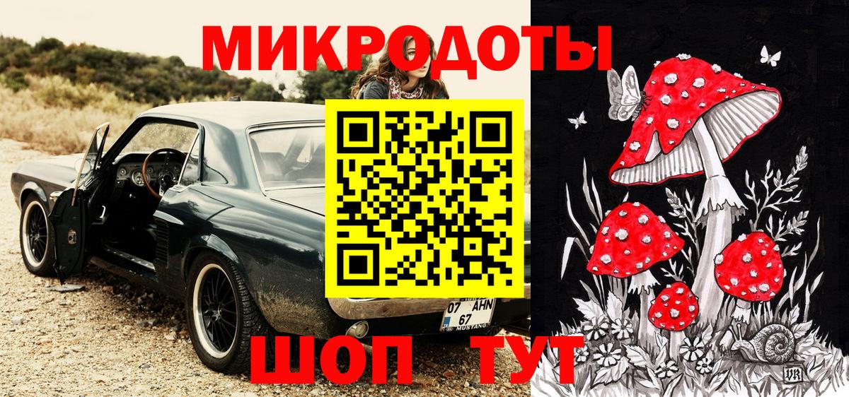 Псилоцибиновые грибы Psilocybe Советский