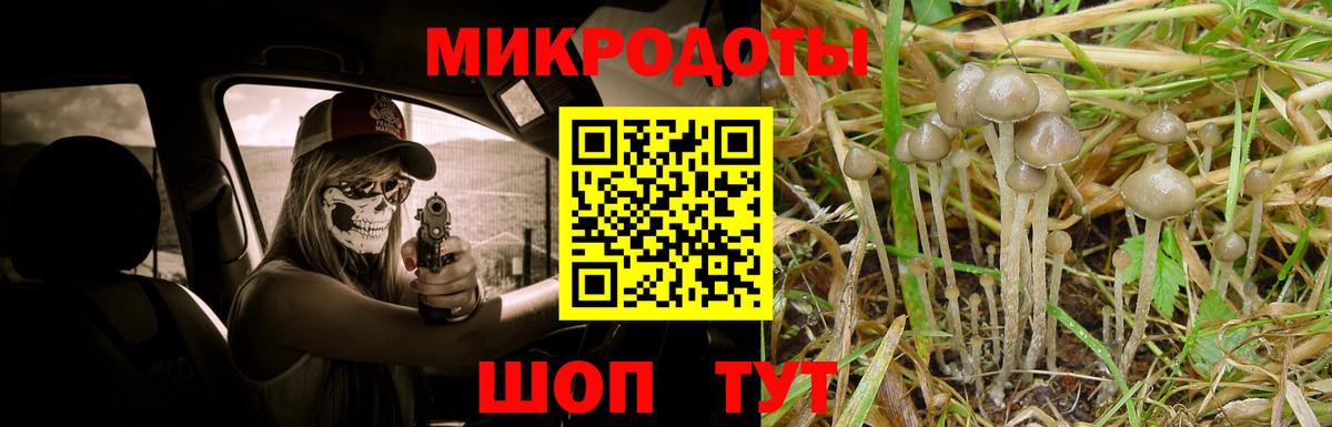 Советский  Псилоцибиновые грибы мицелий  купить  сайты  Вход с VPN 