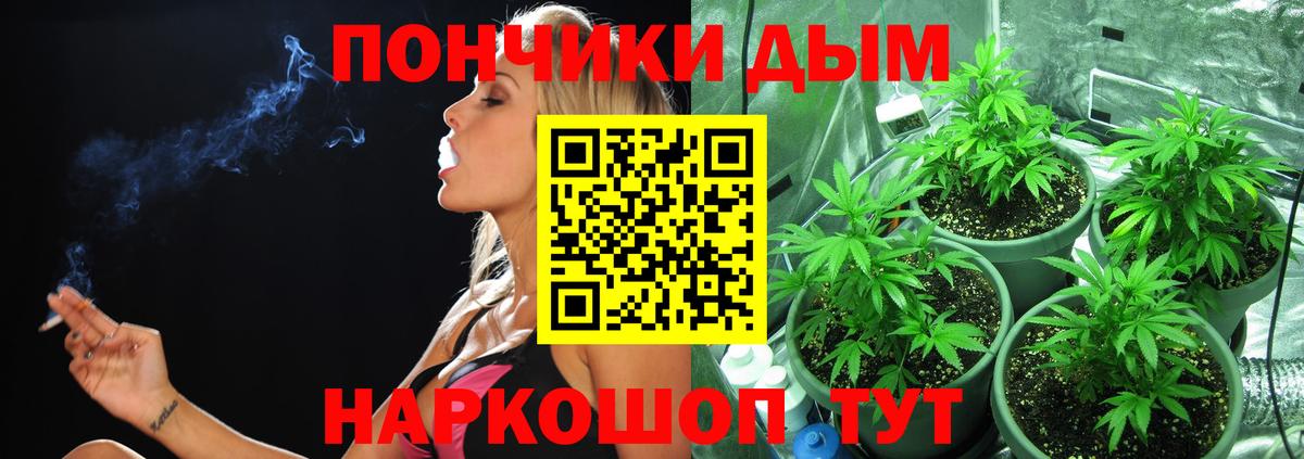 Каннабис индика  Вход с VPN  Бошки Шишки индика  Канабис White Widow  Советский 